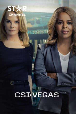 CSI: Vegas. T(T2). CSI: Vegas (T2)