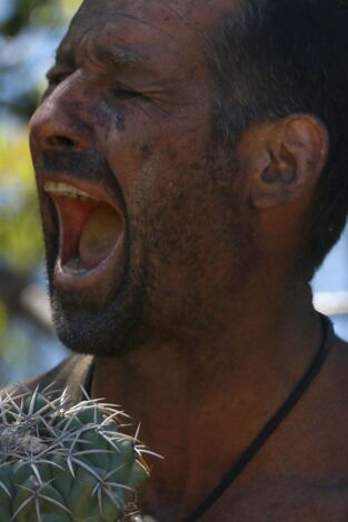 Aventura en pelotas. Aventura en pelotas: La fruta prohibida