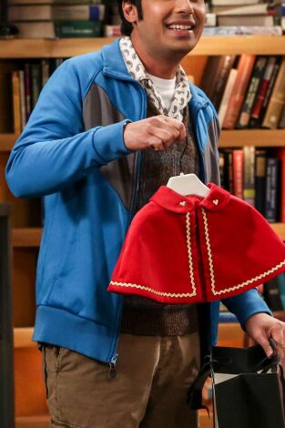 The Big Bang Theory. T(T10). The Big Bang Theory (T10): Ep.16 La evaporación de la asignación