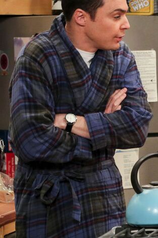 The Big Bang Theory. T(T10). The Big Bang Theory (T10): Ep.20 La disipación de los recuerdos