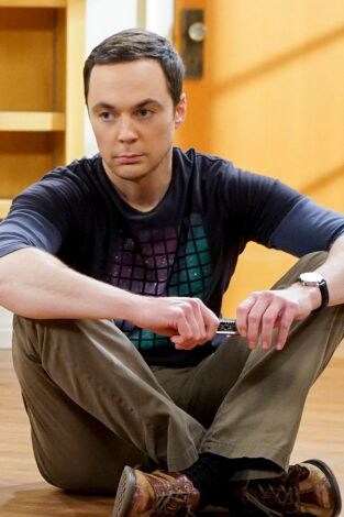 The Big Bang Theory. T(T10). The Big Bang Theory (T10): Ep.23 El hundimiento giroscópico