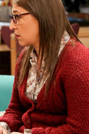 The Big Bang Theory. T(T11). The Big Bang Theory (T11): Ep.7 La metodología de la geología