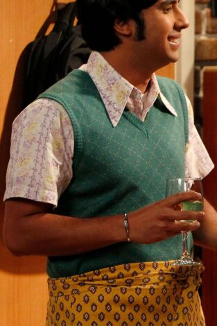The Big Bang Theory. T(T5). The Big Bang Theory (T5): Ep.14 Iniciación al test Beta