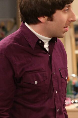 The Big Bang Theory. T(T6). The Big Bang Theory (T6): Ep.22 La resurgencia del protón