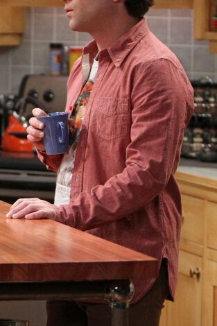 The Big Bang Theory, Season 7. T(T7). The Big Bang... (T7): Ep.20 La disjunción de la relación