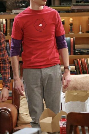 The Big Bang Theory, Season 7. T(T7). The Big Bang... (T7): Ep.24 La combustión del status quo