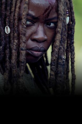 The Walking Dead. T(T9). The Walking Dead (T9)
