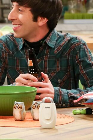 The Big Bang Theory. T(T12). The Big Bang Theory (T12): Ep.15 La oscilación de la donación