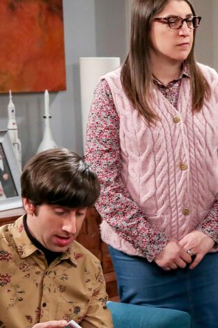 The Big Bang Theory. T(T12). The Big Bang Theory (T12): Ep.17 La evaluación de la conferencia