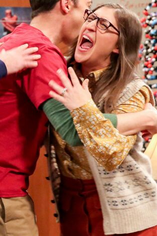 The Big Bang Theory. T(T12). The Big Bang Theory (T12): Ep.23 La constante del cambio