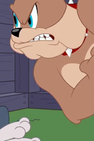 El Show de Tom y Jerry. T(T2). El Show de Tom y... (T2): A correr para perder