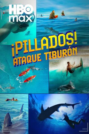 ¡Pillados! Ataque tiburón