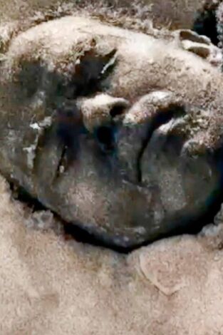 Expedición: archivos del pasado. Expedición: archivos...: Finales trágicos