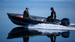 Vivir bajo cero: Port Protection Alaska. Vivir bajo cero: Port...: Podemos hacer cosas complicadas