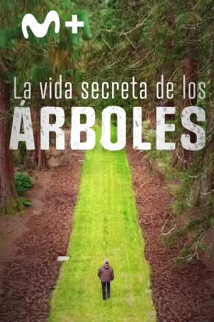 La vida secreta de los árboles