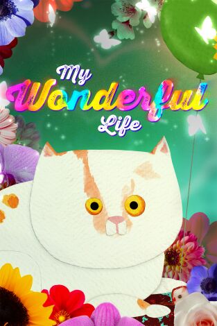 Mi vida maravillosa