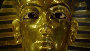 Egipto. Egipto: Los tesoros de Tutankamón: Los faraones de oro