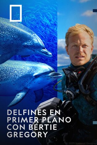 Delfines en primer plano con Bertie Gregory