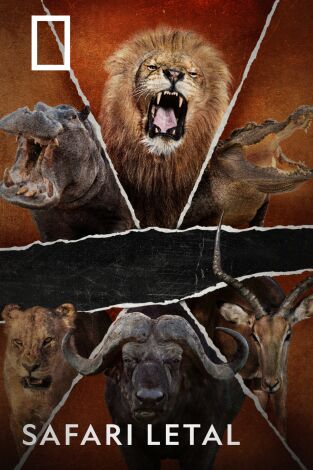 Safari letal