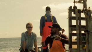 Tráfico ilegal con Mariana Van Zeller. Tráfico ilegal con...: Cazadores de tiburones
