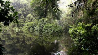 Amazonía. Amazonía: El Amazonas