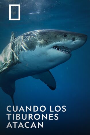 Cuando los tiburones atacan