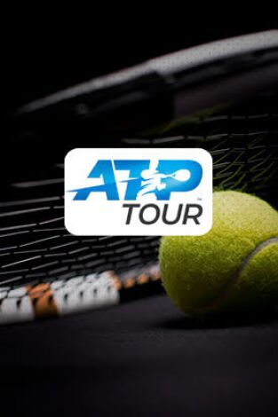 Semifinales. Semifinales: Olivieri - Lajovic