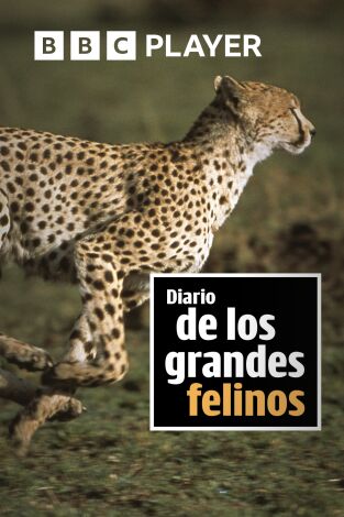 Diario de los grandes felinos