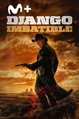 Django imbatible
