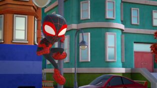 Conoce a Spidey y sus sorprendentes amig. T(T3). Conoce a Spidey y... (T3): Haz como Spidey