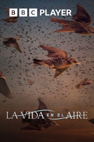 La vida en el aire