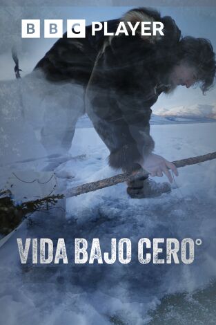 Vida bajo cero