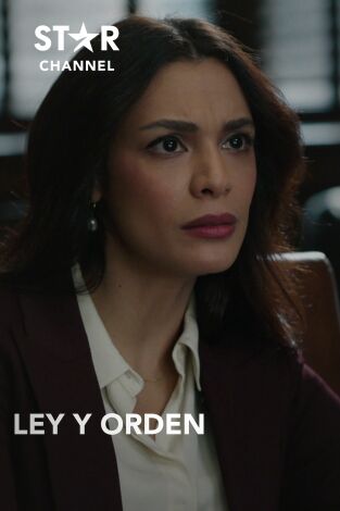 Ley y Orden. T(T3). Ley y Orden (T3)