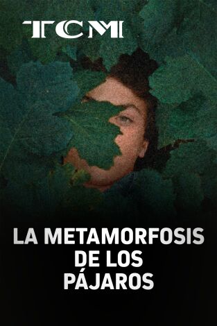 La metamorfosis de los pájaros