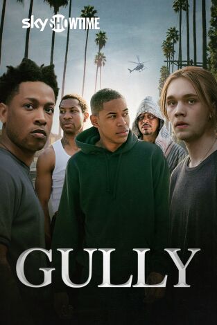 Gully
