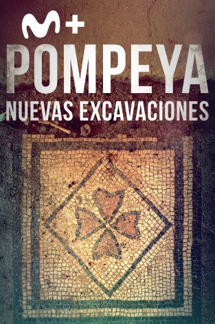 Pompeya: nuevas excavaciones. Pompeya: nuevas...: La casa de los tesoros