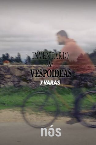 Inventario de vespoideas. T(T1). Inventario de... (T1): Inventario de vespoideas: A vespoidea de Adrián García: 7 varas
