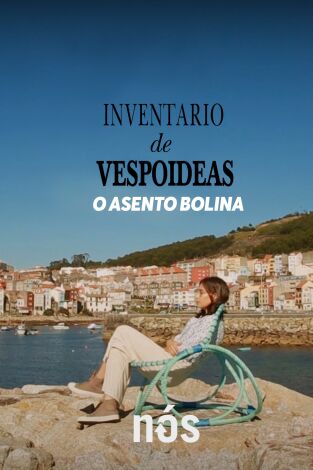 Inventario de vespoideas. T(T1). Inventario de... (T1): Inventario de vespoideas: A vespoidea de Amalia Puga: O asento 'Bolina'