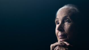 Jane Goodall. Jane Goodall: Jane Goodall: La gran esperanza