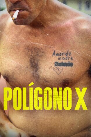 Polígono X