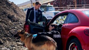 Hudson & Rex. T(T2). Hudson y Rex (T2): Ep.4 Los Bosques Tienen Ojos