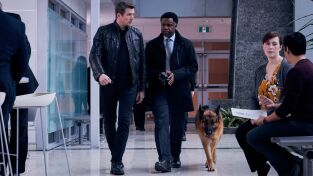 Hudson & Rex. T(T2). Hudson y Rex (T2): Ep.10 Confiamos En El Podcast