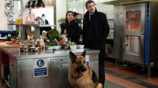 Hudson & Rex. T(T2). Hudson y Rex (T2): Ep.12 Para Chuparse Los Dedos