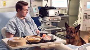 Hudson & Rex. T(T2). Hudson y Rex (T2): Ep.13 Llamarada Canina