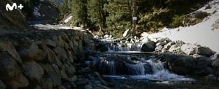 Tor: una historia de Carles Porta. Tor: una historia de...: Palanca