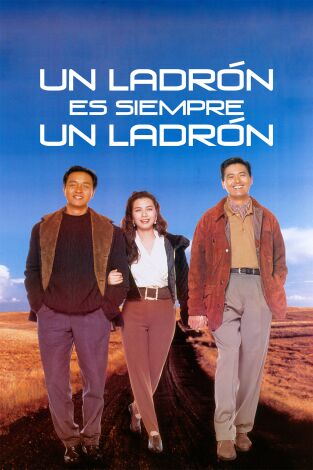 Un ladrón siempre es un ladrón