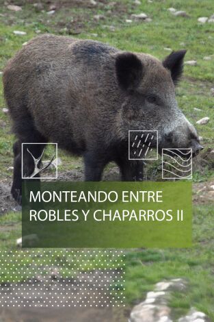 Monteando entre robles y chaparros 2º parte