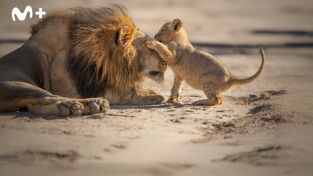 Cómo se hizo Parenthood. Cómo se hizo Parenthood: Ep.1