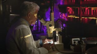 Batallas navales. Batallas navales: Venganza brutal