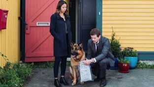 Hudson & Rex. T(T3). Hudson y Rex (T3): Ep.2 Caza al hombre